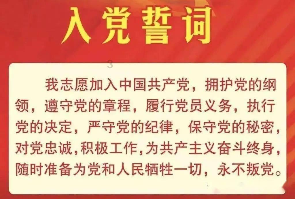 苏菲亚安伯时装秀