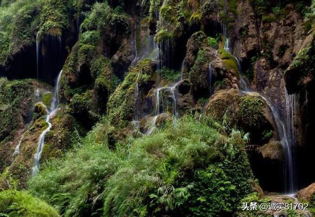 师范专科毕业可以考取教师资格证吗？