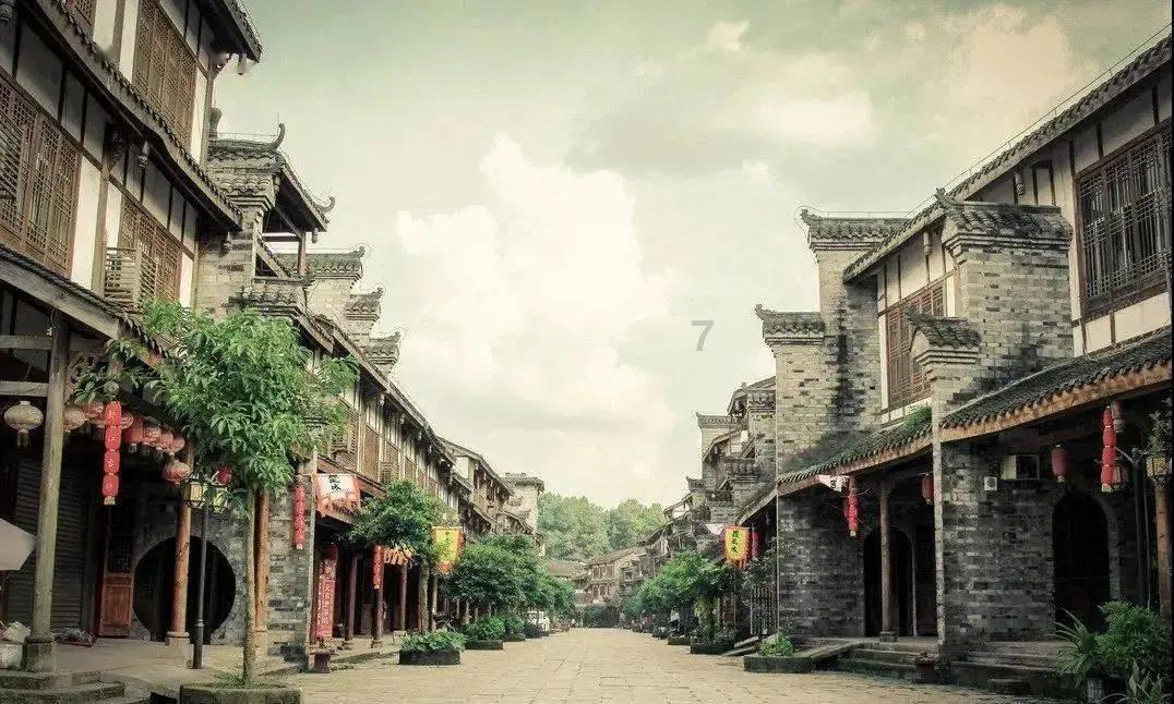 救援贪玩的大象