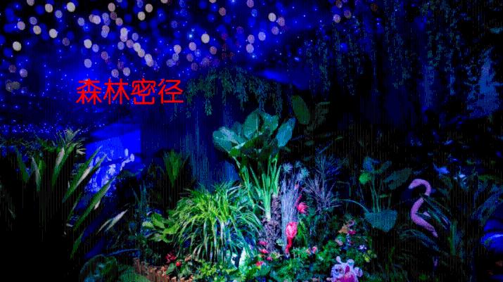 哆啦A梦3奇迹之岛